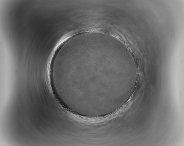 X0000087630006200705101037