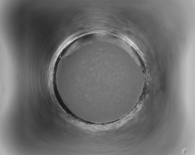 X0000087630007200705101037