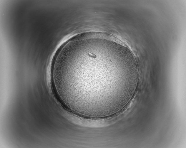 X0000087630008200705101037