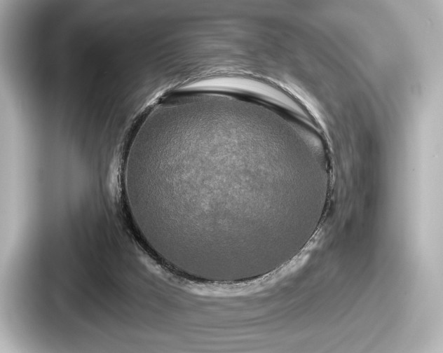 X0000087630009200705101037