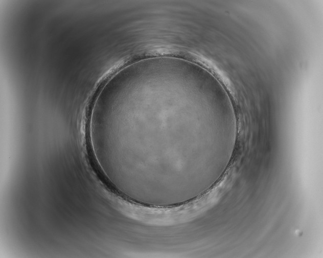 X0000087630010200705101037