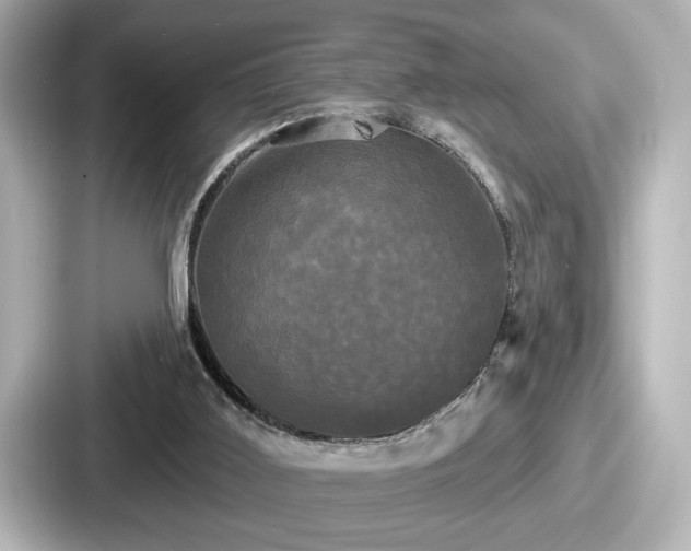 X0000087630011200705101037