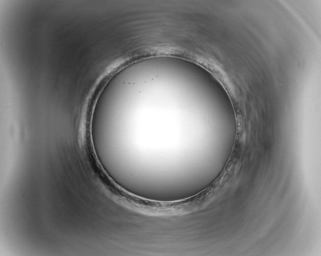 X0000087630012200705101037