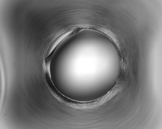 X0000087630013200705101037