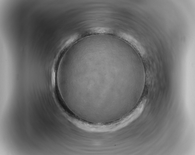 X0000087630014200705101037