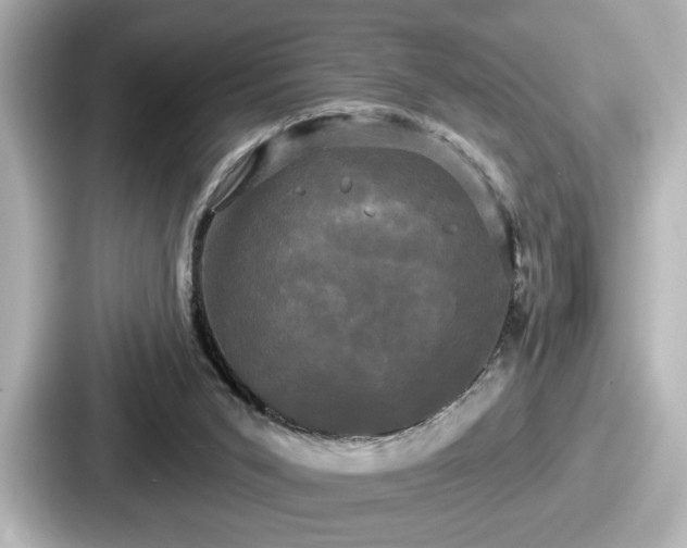 X0000087630015200705101037