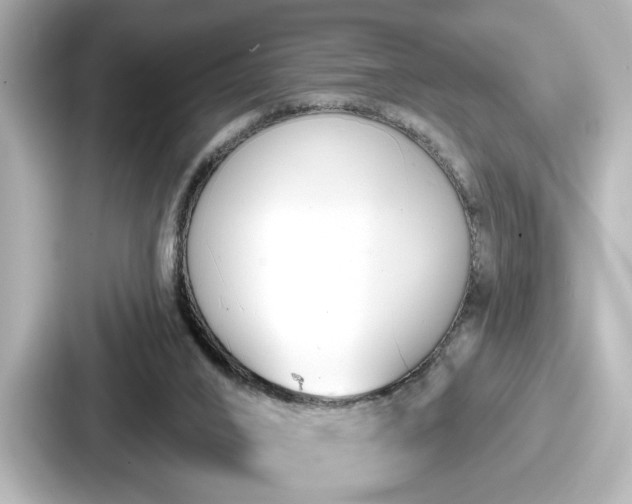 X0000087630016200705101037