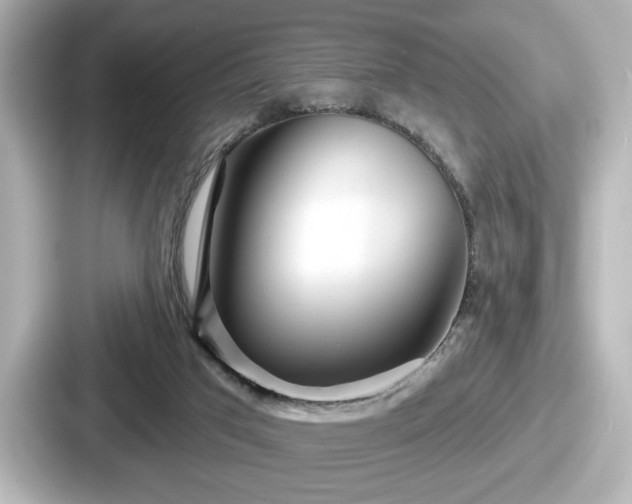 X0000087630017200705101037