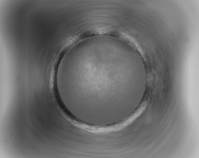 X0000087630018200705101037