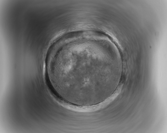 X0000087630019200705101037