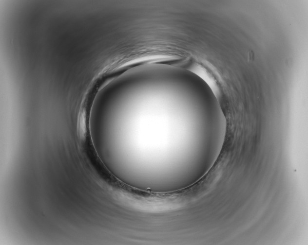 X0000087630020200705101036