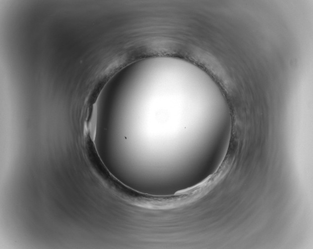 X0000087630021200705101036