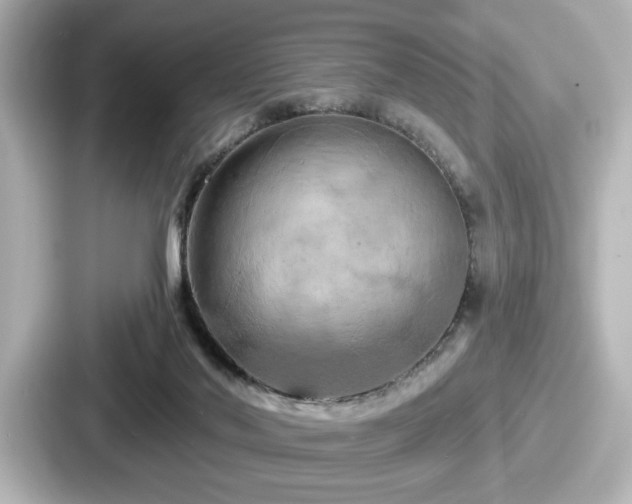 X0000087630022200705101036