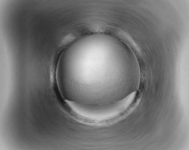 X0000087630023200705101036