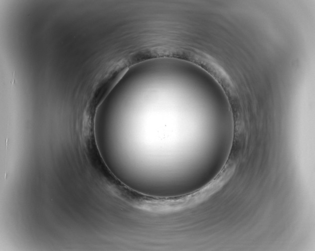 X0000087630025200705101036