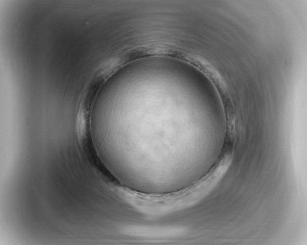 X0000087630026200705101036