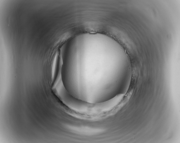 X0000087630027200705101036