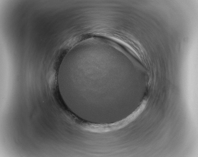 X0000087630029200705101036