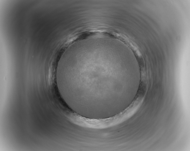 X0000087630030200705101036