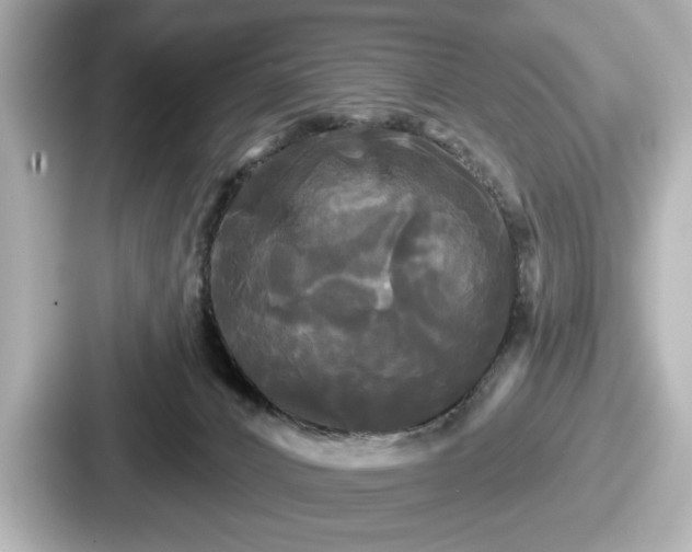 X0000087630032200705101036