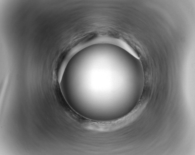 X0000087630033200705101036