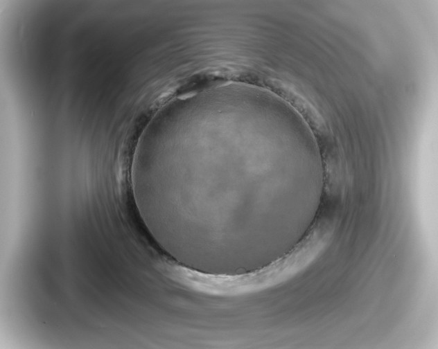 X0000087630034200705101036