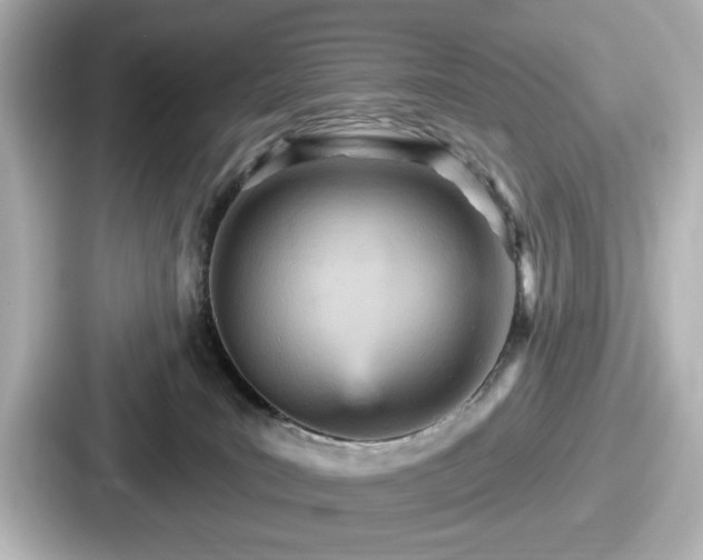 X0000087630035200705101036