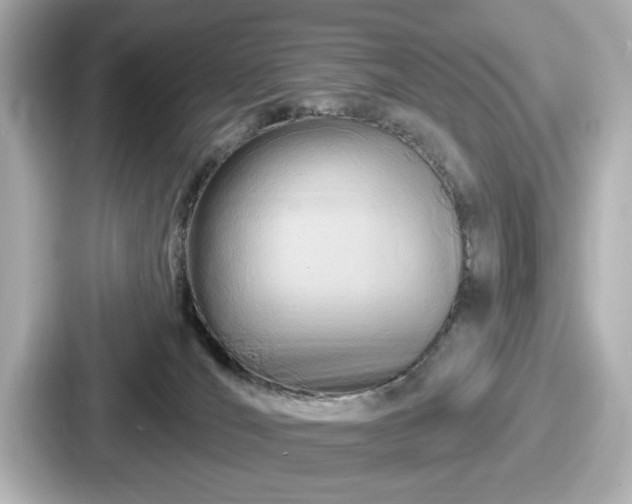 X0000087630036200705101036