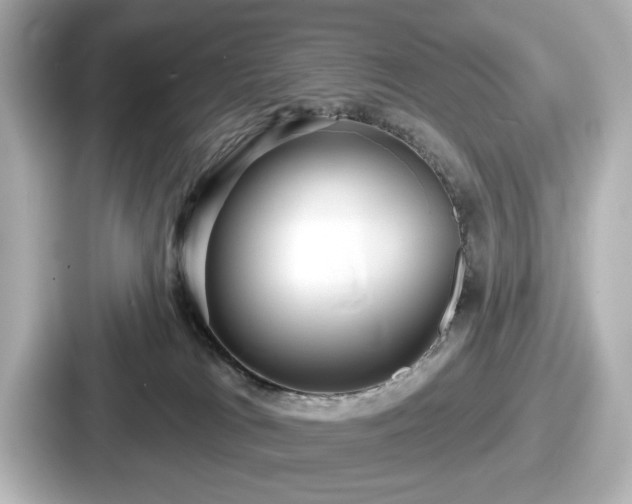 X0000087630037200705101036