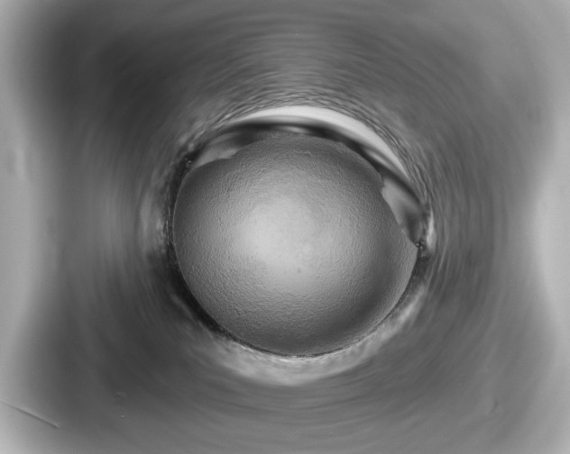 X0000087630039200705101036