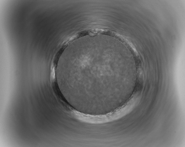 X0000087630042200705101036