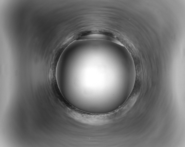 X0000087630044200705101036