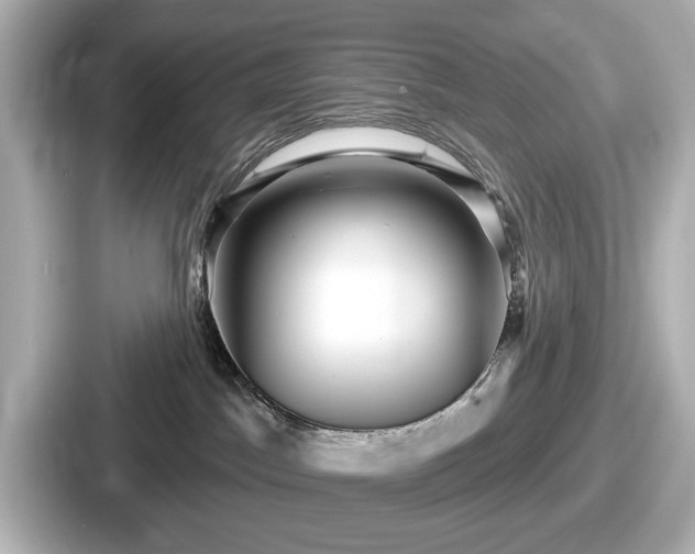 X0000087630045200705101036