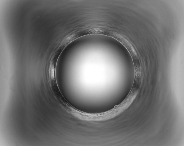 X0000087630046200705101036