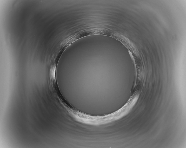 X0000087630047200705101036