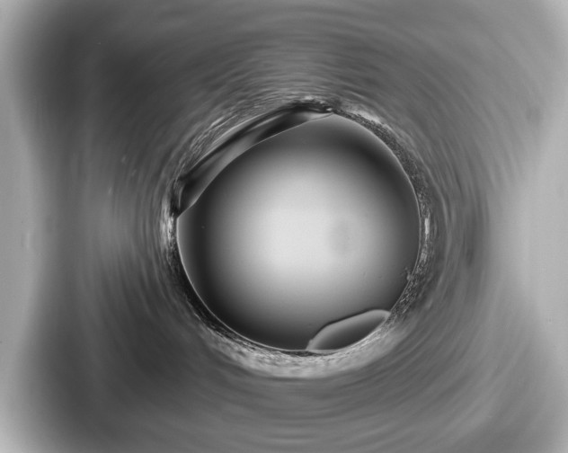 X0000087630048200705101036