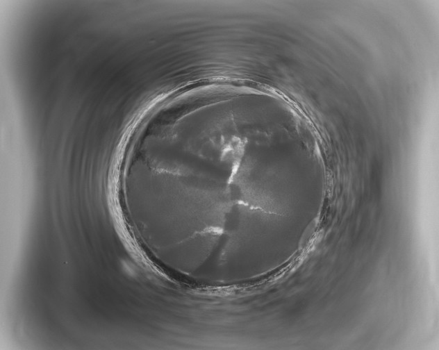 X0000087630049200705101036