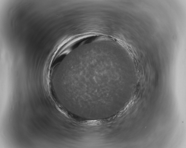 X0000087630050200705101036