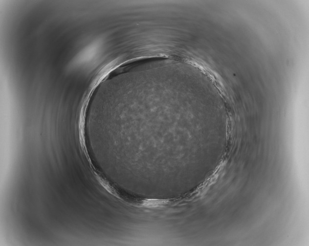 X0000087630051200705101036