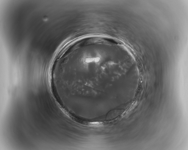 X0000087630053200705101036