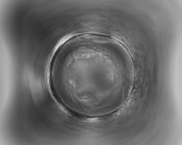 X0000087630054200705101036