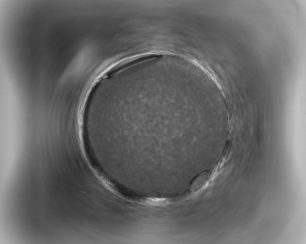 X0000087630055200705101036