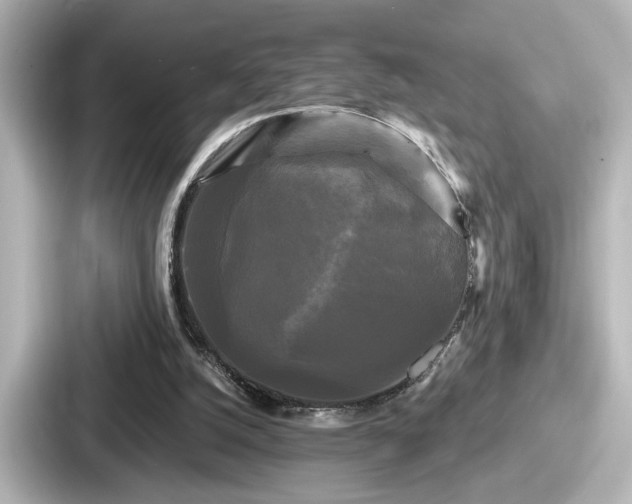 X0000087630056200705101036