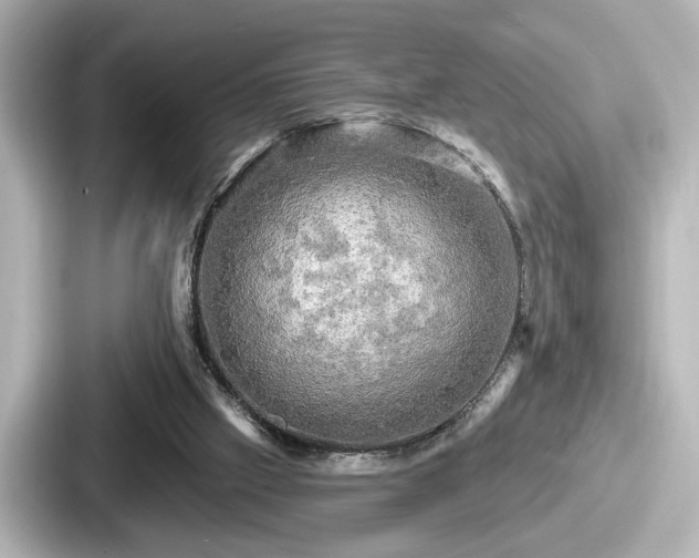 X0000087630057200705101036