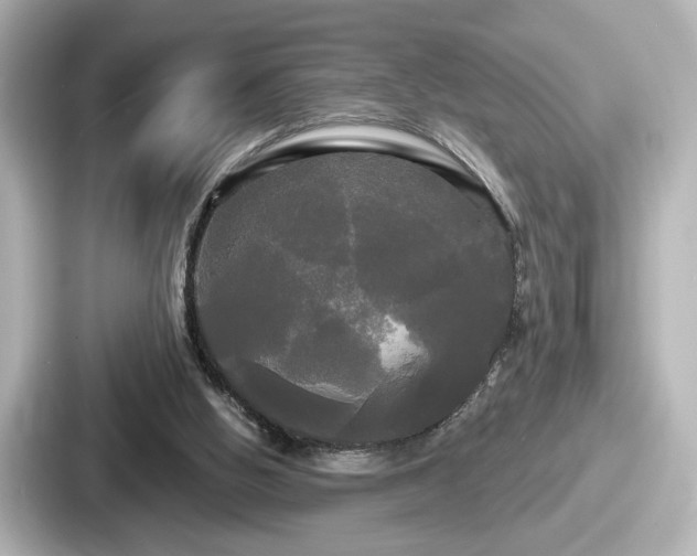 X0000087630058200705101036