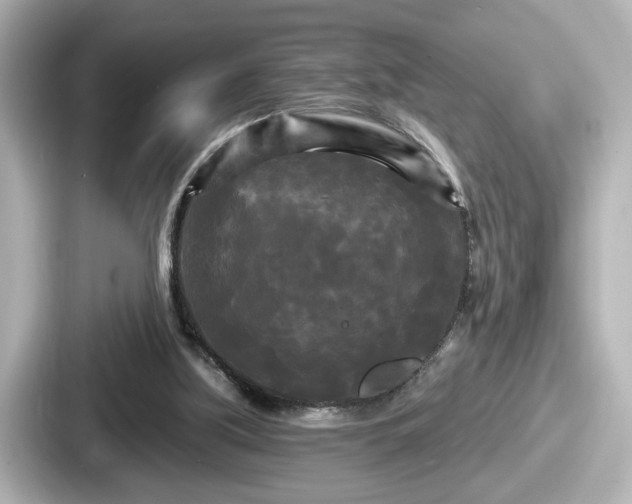 X0000087630059200705101036