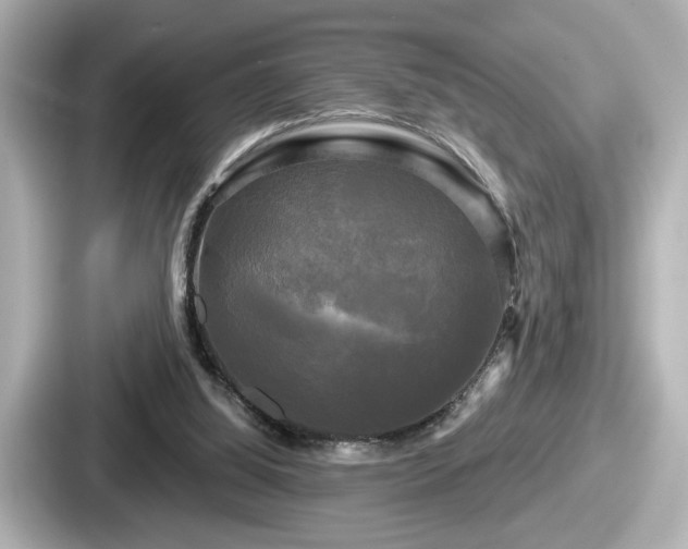 X0000087630060200705101036