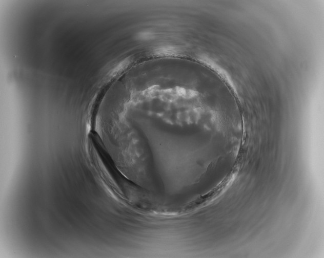 X0000087630061200705101036