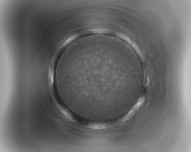 X0000087630062200705101036