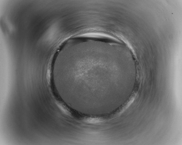 X0000087630063200705101036